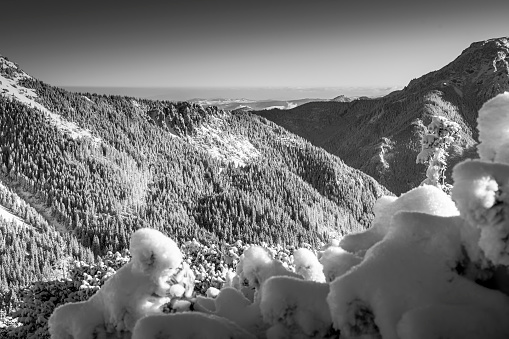 Dramatic Monochrome View Of Tatra Mountains Stock Photo - Download Image Now - Adventure, Beauty