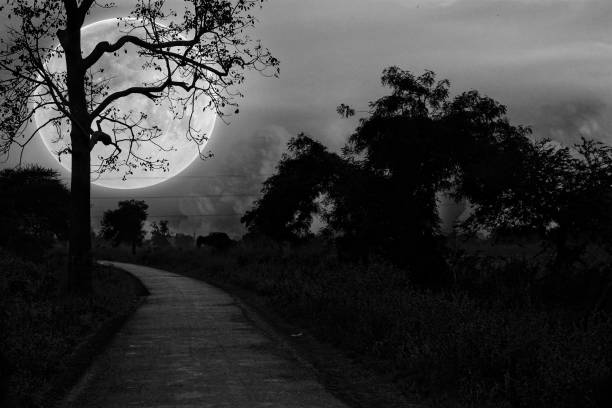 a dramatic night - moon b&w imagens e fotografias de stock
