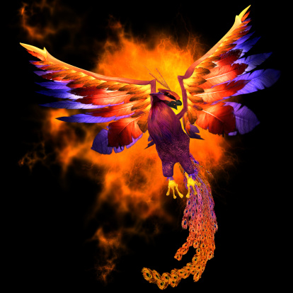 Phoenix Arising Phoenix Arising