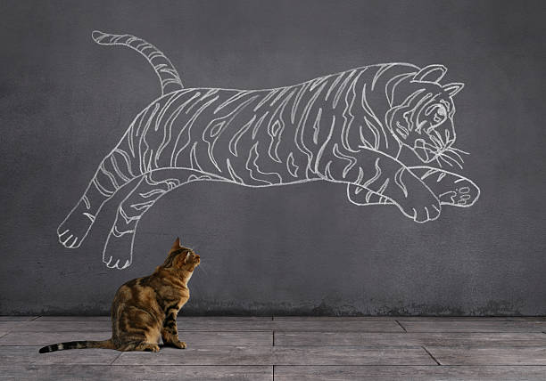 Dream of Tabby Cat: Being Tiger A tabby cat sitting on wooden floor and looking at the running (or jumping) tiger sketched (chalk drawing) on the wall. tabby cat stock pictures, royalty-free photos & images