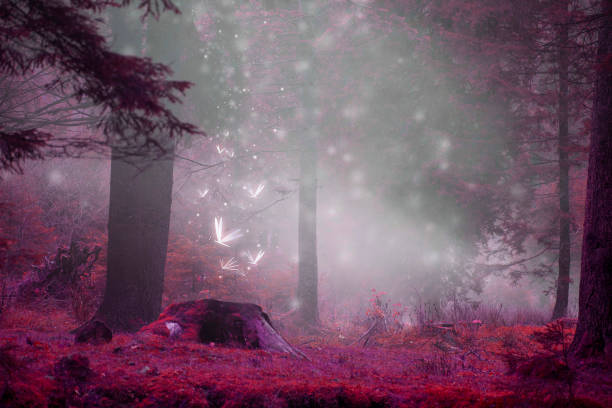 Dreamy fairytale forest scene with magic fireflies, foggy surreal forest stock photo