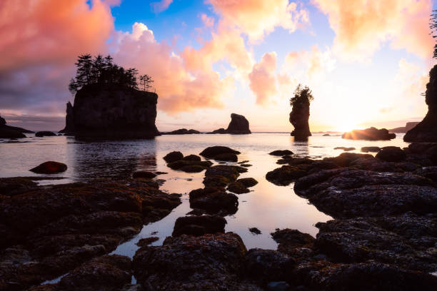 Dreamy Magical View of Colorful Sunset on the pacific ocean coast. Dreamy Magical View of Colorful Sunset on the pacific ocean coast. Taken at Cape Flattery in Neah Bay, West of Seattle, Washington, USA. Nature Background neah bay stock pictures, royalty-free photos & images