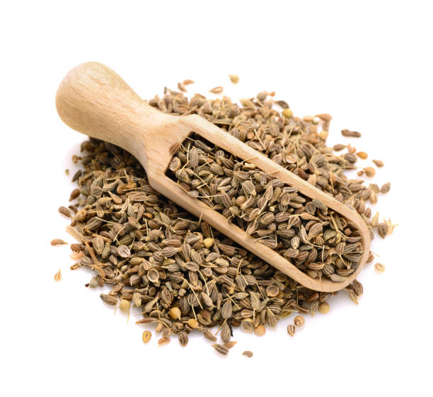 dried anise seed in a scoop for spices stock photo