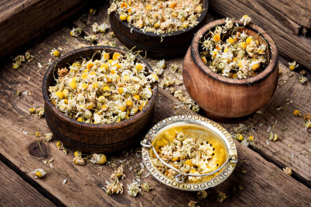 Dried chamomile flowers stock photo