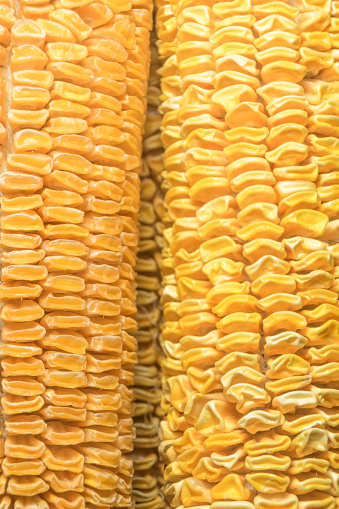 Dried corns vegetable closeup detail yellow