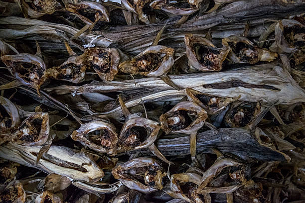 Dried fish stock photo