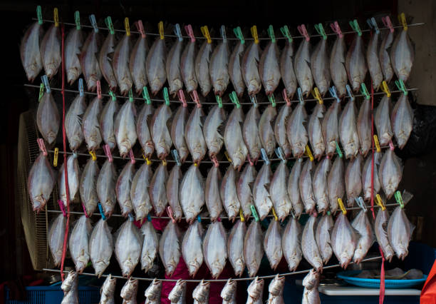 Dried flat fish(halibut). stock photo