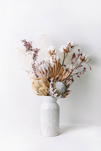 Dried flower arrangement in a vase. Beautiful dried flower arrangement in a stylish ceramic white vase. Dried flowers include pink proteas, banksia, gold palm leaf, kangaroo paw, cotton and ruscus leaves. decorative art stock pictures, royalty-free photos & images