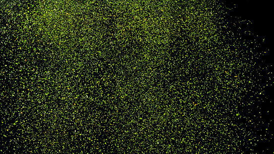 Dried green herbs exploding into the air against black background.