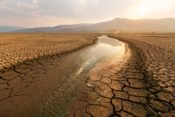 сушеное озеро и река на лете и концепции изменения климата. - drought стоковые фото и изображения
