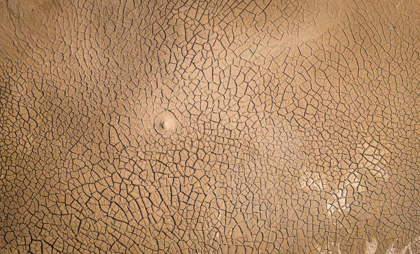 Dried lake texture with crached clay stock photo