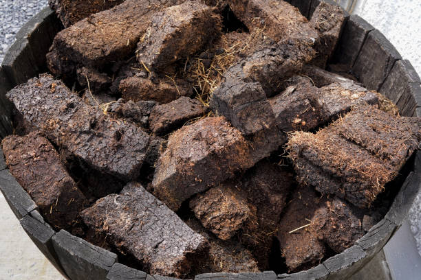 Dried lumps of peat in front of a whisky distillery. stock photo