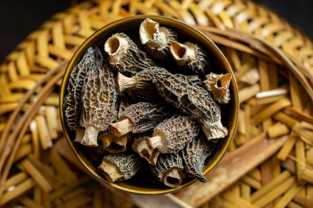 Dried morels mushrooms in a bowl. stock photo
