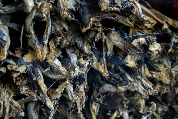 Dried Norwegian Stockfish, for making Lutefisk stock photo