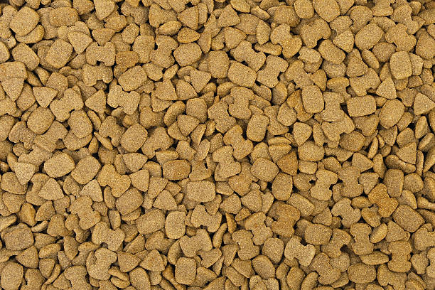 Dried pet food background. stock photo