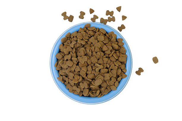 Dried pet food in blue bowl isolated on white stock photo
