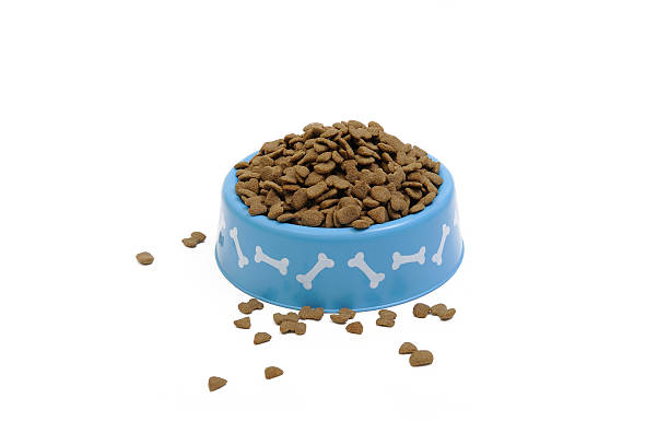 Dried pet food in blue bowl isolated on white stock photo