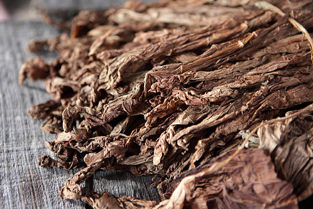 Как выглядит сухой фото Как выглядит сухой фото