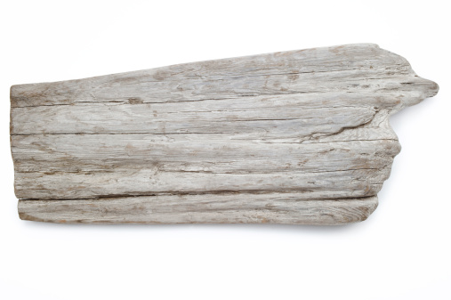 Large piece of driftwood from BC, Canada with clipping path.