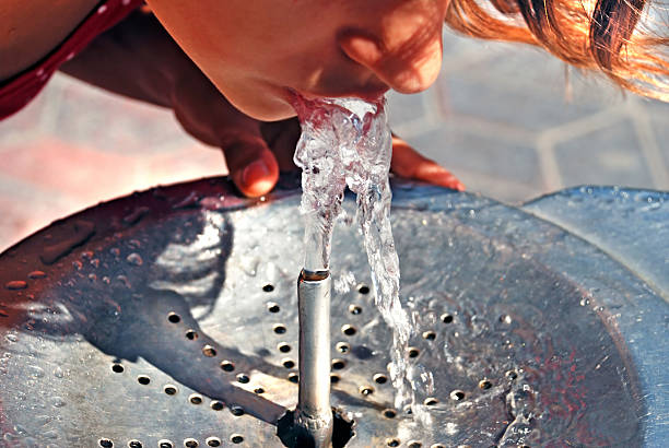 Drinking from water fountain stock photo