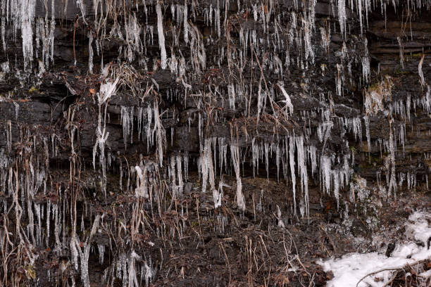 Dripping Icicles on Shale Wall stock photo