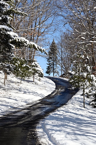 Driveway up the hill in the winter woods.