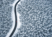 istock Driving In Snowcapped Forest 1337376122
