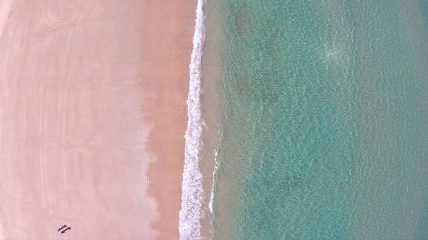Drone aerial view of Sellicks Beach, South Australia. Drone aerial view of Australian wide open beach and coastline, taken at Sellicks Beach, South Australia. south australia stock pictures, royalty-free photos & images