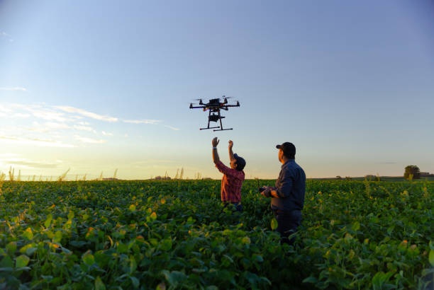 drone en cultivo de soja. - agricultor fotografías e imágenes de stock