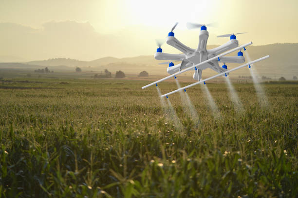 drone spruzza un campo al tramonto - software agricoltura irrigazione foto e immagini stock