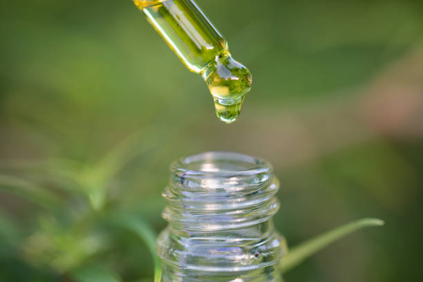 Droplet hemp oil into a glass bottle, CBD Hemp oil, Concept of herbal alternative medicine.Scientific research. Droplet hemp oil into a glass bottle, CBD Hemp oil, Concept of herbal alternative medicine.Scientific research. marijuana herbal cannabis stock pictures, royalty-free photos & images