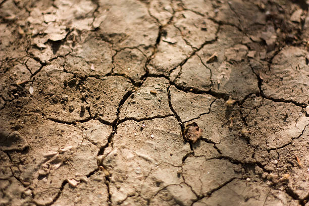 drought, creative abstract design background photo stock photo