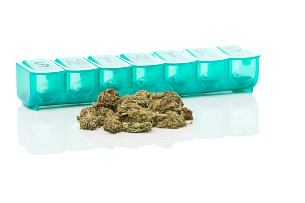 Marijuana Mob Pill Case pillbox holder box pulp anti drug