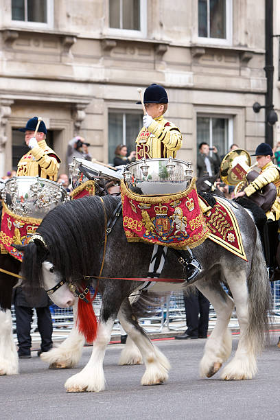 Drum horse for the Queen's Diamond Jubilee state procession "London, United Kingdom - June, 5th 2012: Drum Shire horse of the mounted band of the Household cavalry on Parliament Street and part of the Sovereigns escort during the Queen's Diamond Jubilee State procession." shire horse stock pictures, royalty-free photos & images