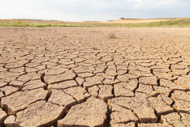 sucha i popękana ziemia w zbiorniku loteta, gallur, hiszpania. - drought zdjęcia i obrazy z banku zdjęć