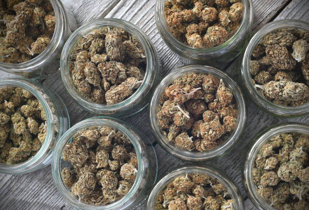 droge en bijgesneden cannabisknoppen die in een glaspotten op een houten lijst worden opgeslagen - marihuana gedroogde cannabis stockfoto's en -beelden
