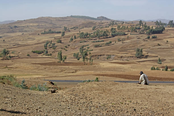 dry arable land near Debre Libanos Gorge stock photo