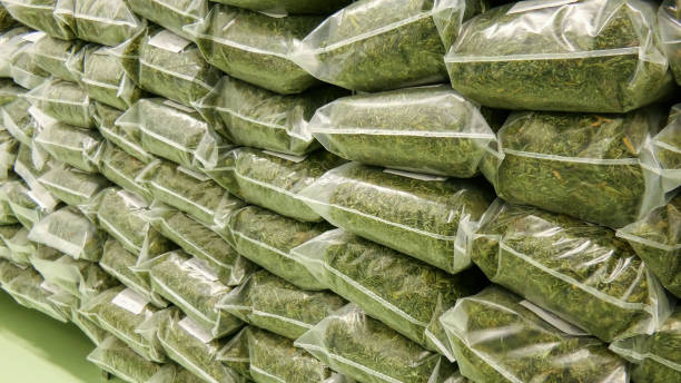 dry cannabis in a plastic bags ready for transportation stock photo