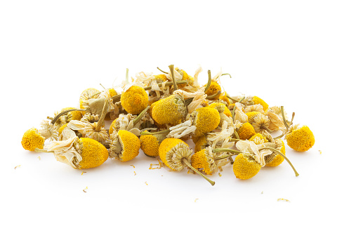 Heap of chamomile flowers for herbal tea isolated on white background