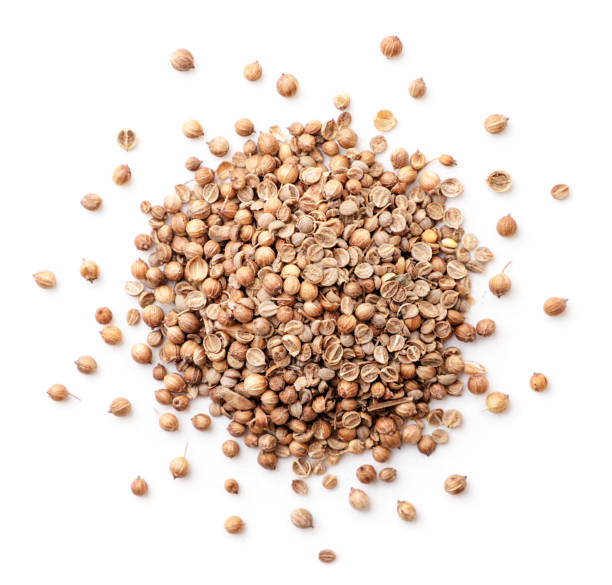 Dry coriander seeds heap on white background, isolated. The view from top Dry coriander seeds heap close up on white background, isolated. The view from top coriander seed stock pictures, royalty-free photos & images