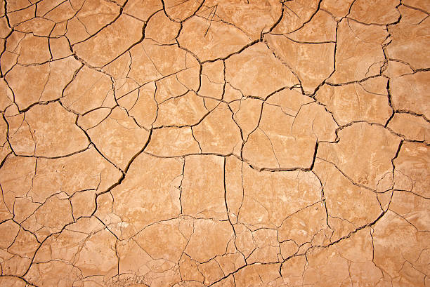 Dry cracked earth background, clay desert texture stock photo