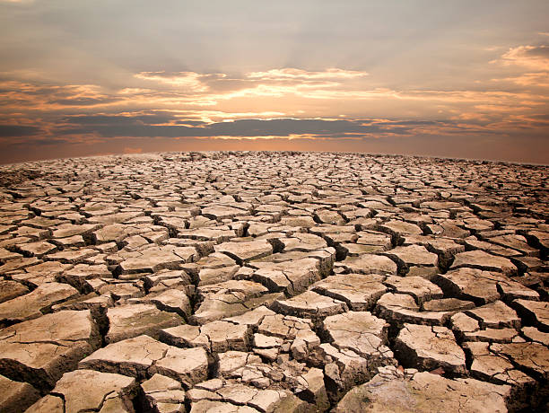 dry cracked earth view to horizon in drought against sunrise - droogte stockfoto's en -beelden