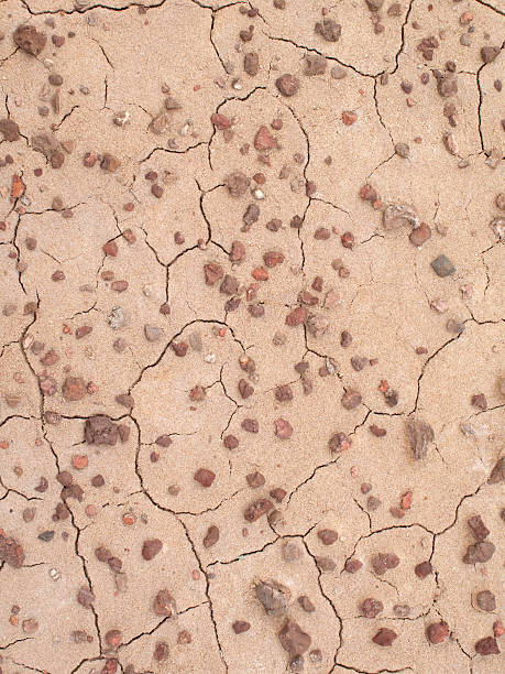 Dry, Cracked Riverbed stock photo