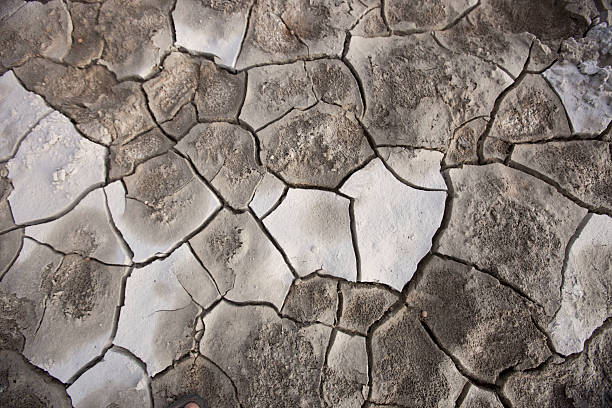 Dry Crust on Lakebed stock photo