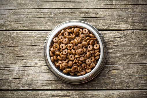 Dry Kibble Dog Food Stock Photo - Download Image Now - iStock