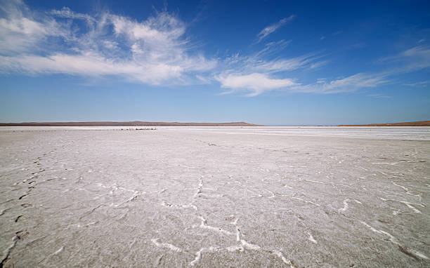 Dry lake under blue sky stock photo