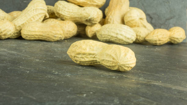 dry peanuts of slate - pea protein powder isolated bildbanksfoton och bilder