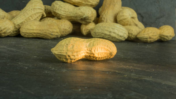 dry peanuts of slate - pea protein powder isolated bildbanksfoton och bilder