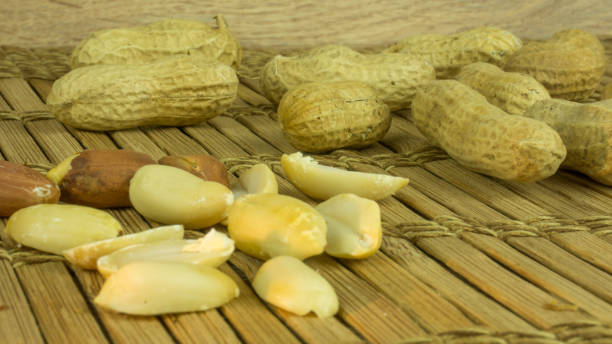 dry peanuts - pea protein powder isolated bildbanksfoton och bilder