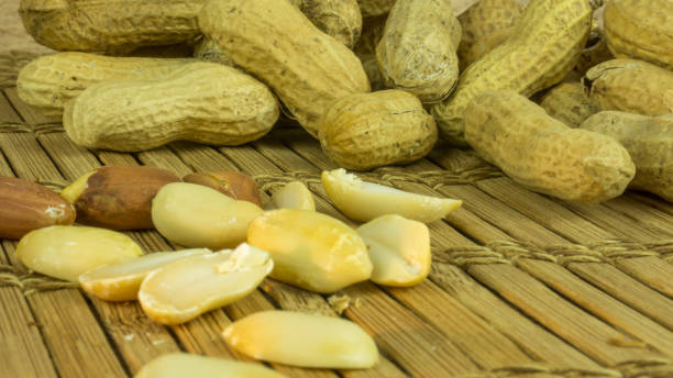 dry peanuts - pea protein powder isolated bildbanksfoton och bilder
